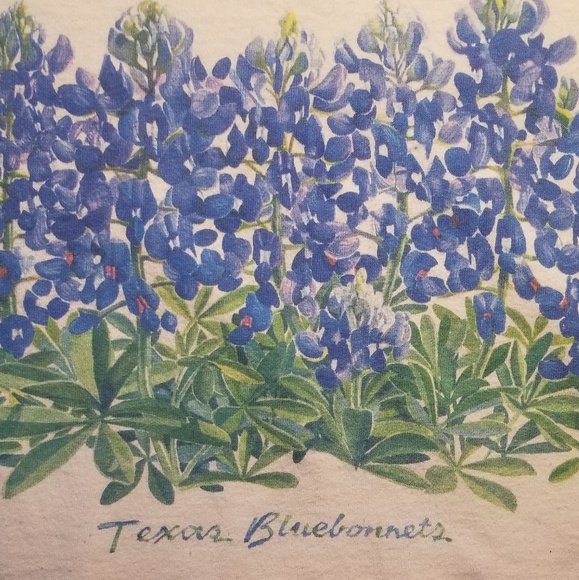 Fruit of the Loom Tops - Vintage Texas Bonnets Fruit of the Loom